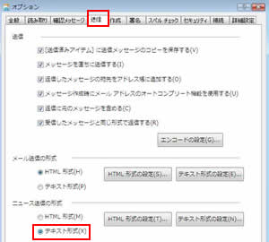 「テキスト形式」にチェック